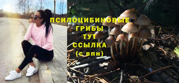 СК Абдулино