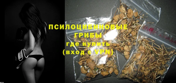 дживик Абинск