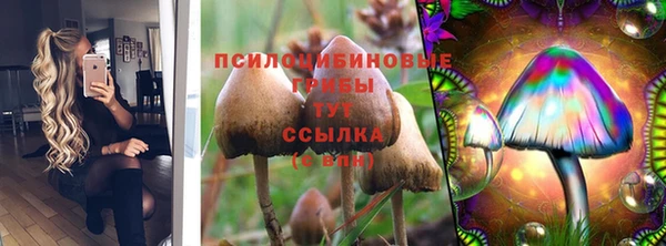 СК Нязепетровск