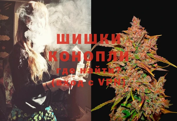 молекула духа Нягань