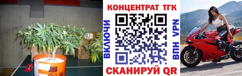 ОМГ ОМГ ONION  Новомичуринск  ТГК вейп с тгк 
