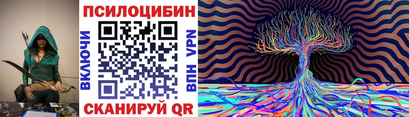 Псилоцибиновые грибы Psilocybine cubensis  где продают наркотики  mega ТОР  Новомичуринск 